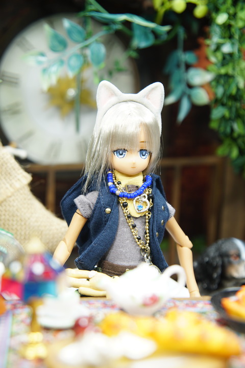 orange_pekoe_7_2019_8_20_DSC00826