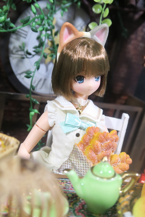 orange_pekoe_3_2017_8_13_IMG_8229