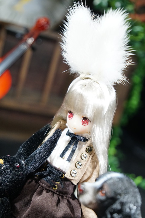 orange_pekoe_5_2020_1_15_DSC02648