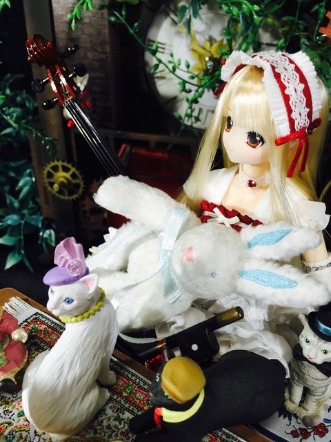 orange_pekoe_6_2016_10_21_IMG_9367