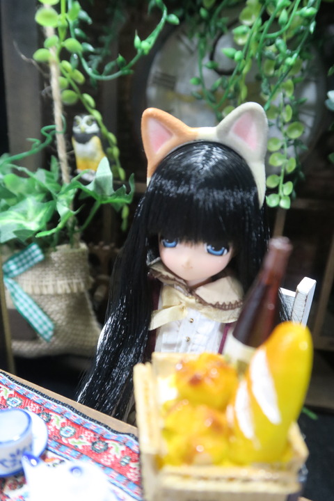 orange_pekoe_4_2019_10_8_IMG_0675