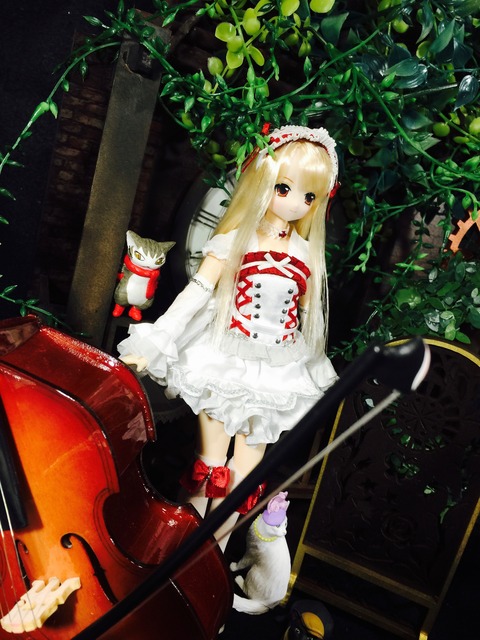 orange_pekoe_4_2016_10_22_IMG_9403