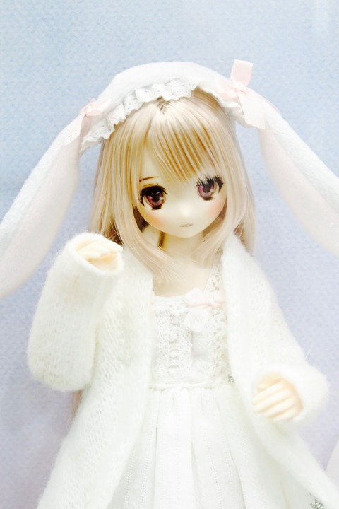 orange_pekoe_11_2019_6_5_IMG_2809