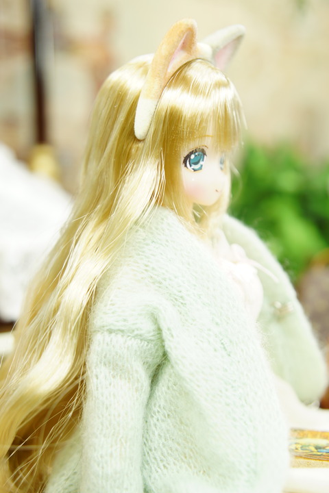 orange_pekoe_5_2019_4_22_DSC03951