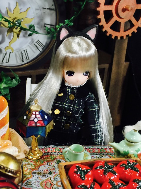 orange_pekoe_4_2020_1_6_IMG_8354