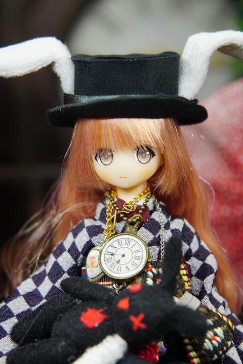 orange_pekoe_6_2020_8_26_DSC01741