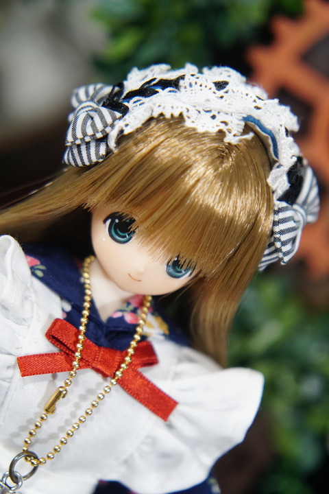 orange_pekoe_3_2020_7_18_DSC03177