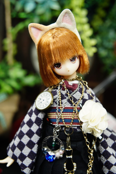 orange_pekoe_8_2020_7_16_DSC00211