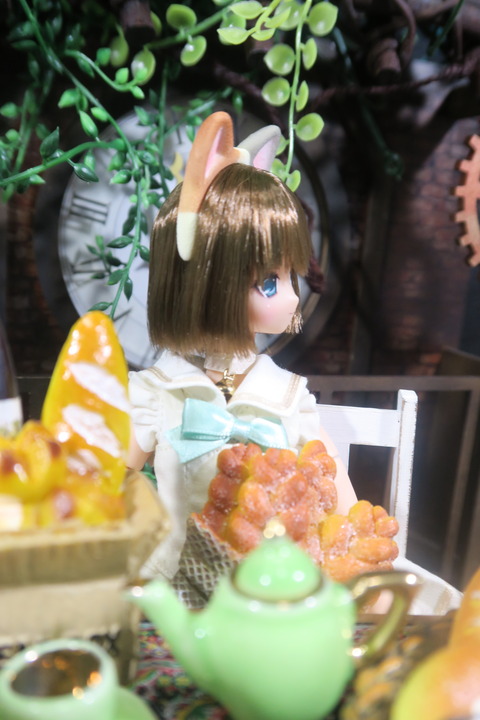 orange_pekoe_3_2017_8_12_IMG_8237