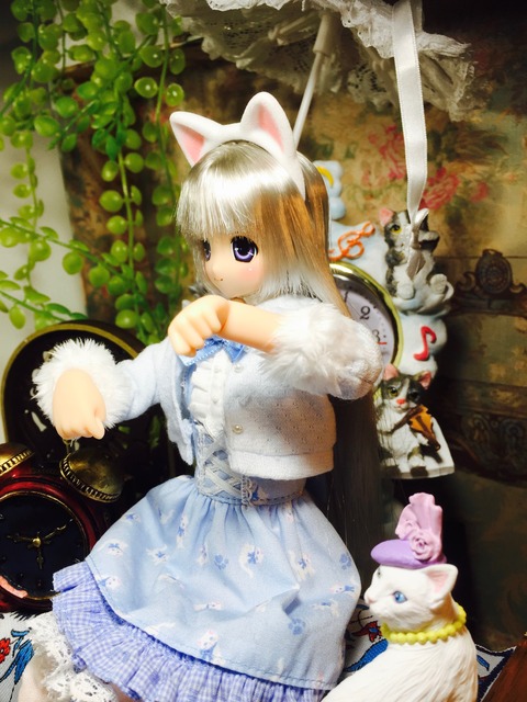 orange_pekoe_4_2019_1_10_IMG_2775