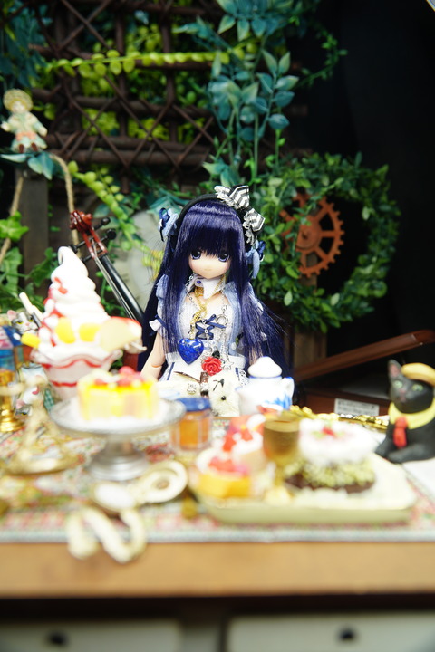 orange_pekoe_7_2020_2_2_DSC05111