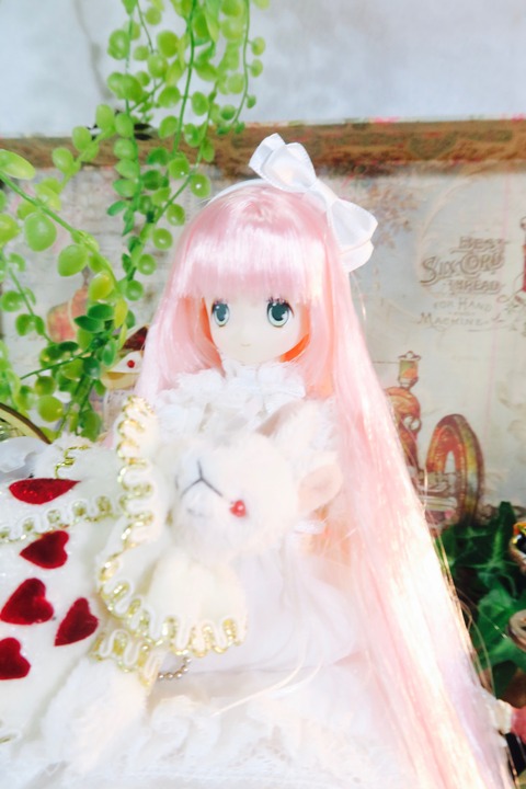 orange_pekoe_3_2019_6_26_IMG_6589