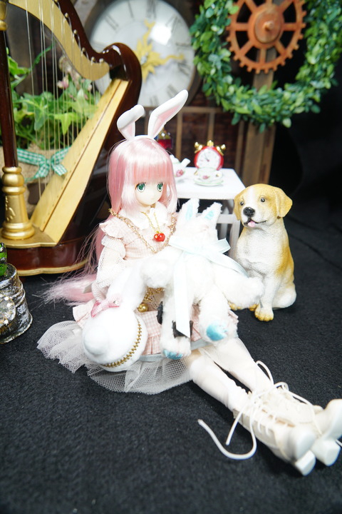 orange_pekoe_2_5_2020_7_30_DSC01479