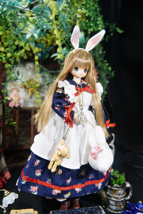 orange_pekoe_8_2019_9_23_DSC03348