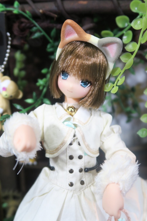 orange_pekoe_5_2019_8_9_IMG_8362