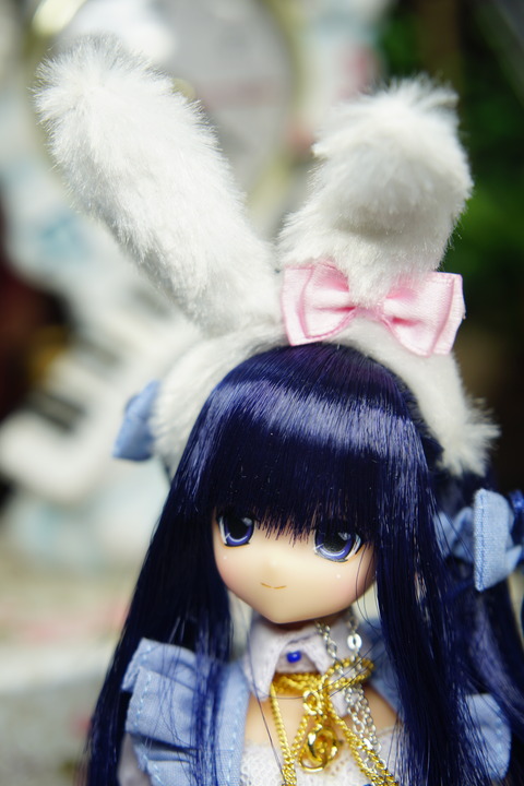 orange_pekoe_2_2020_2_8_DSC05276