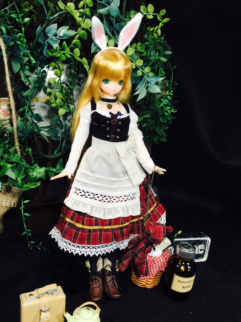 orange_pekoe_7_2018_6_12_IMG_0500