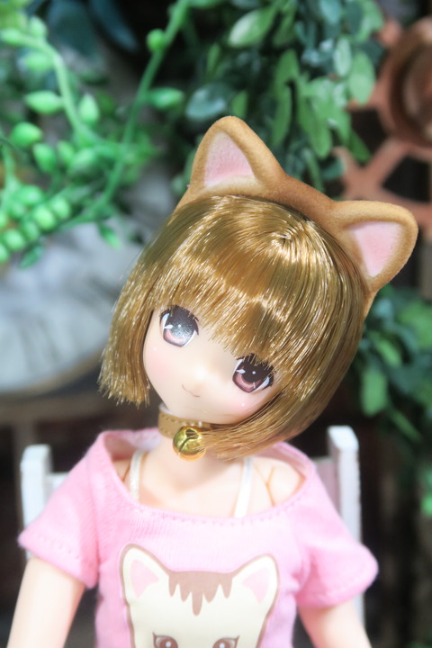orange_pekoe_8_2017_4_23_IMG_6816