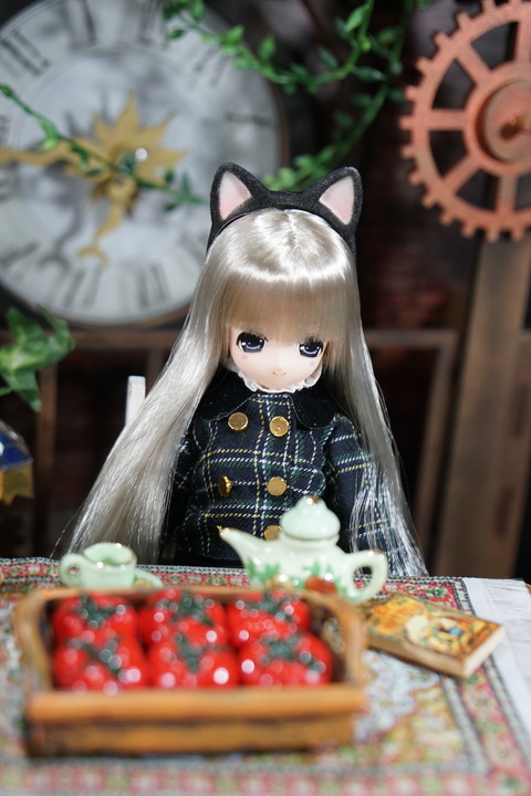 orange_pekoe_2_2020_7_27_DSC00803