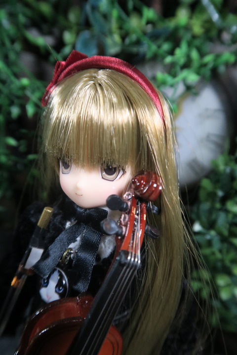 orange_pekoe_3_2020_2_29_IMG_4615