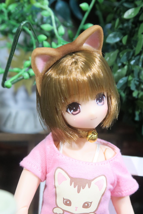 orange_pekoe_7_2017_4_23_IMG_6817
