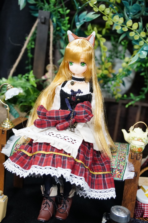 orange_pekoe_6_201_7_30_DSC03815