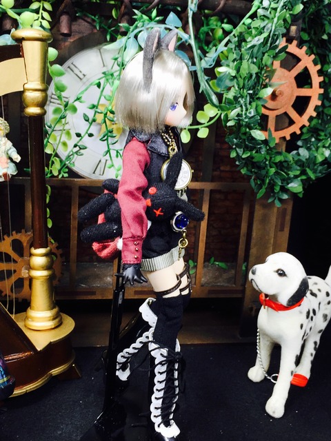 orange_pekoe_8_2021_2_21_IMG_3803