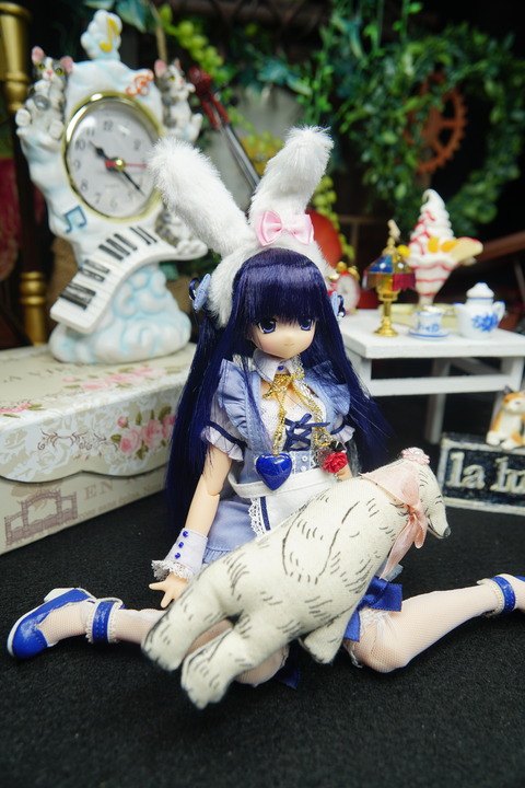 orange_pekoe_2_2020_2_7_DSC05255