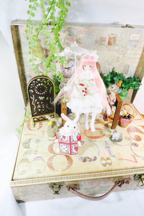 orange_pekoe_8_2017_4_12_IMG_6663