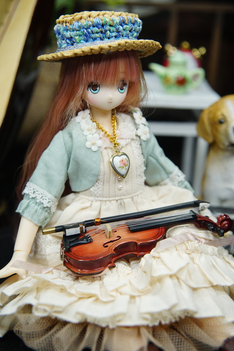 orange_pekoe_6_2019_11_27_DSC02355