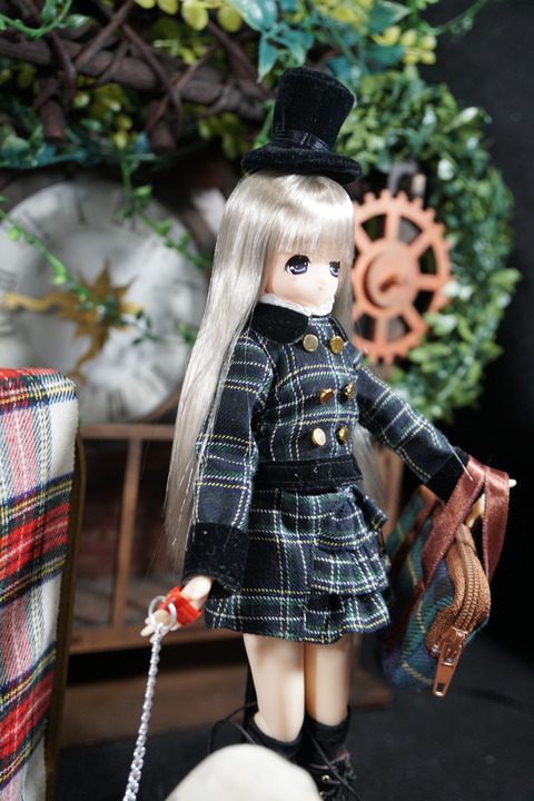 orange_pekoe_6_2020_7_27_DSC00984