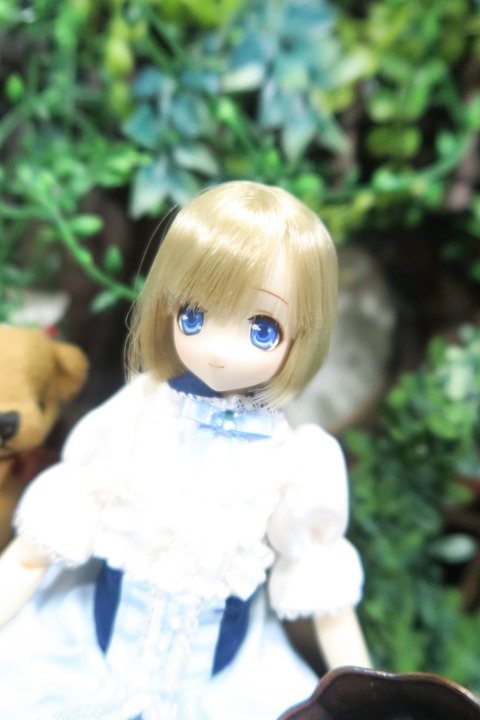 orange_pekoe_3_2019_7_24_IMG_3172
