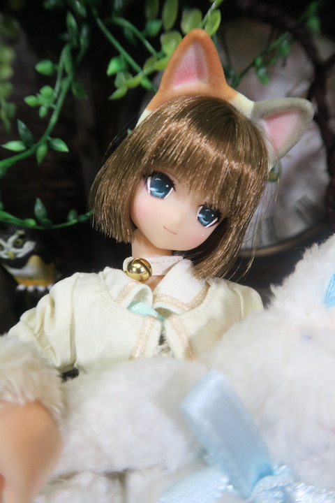 orange_pekoe_6_2017_8_19_IMG_8448