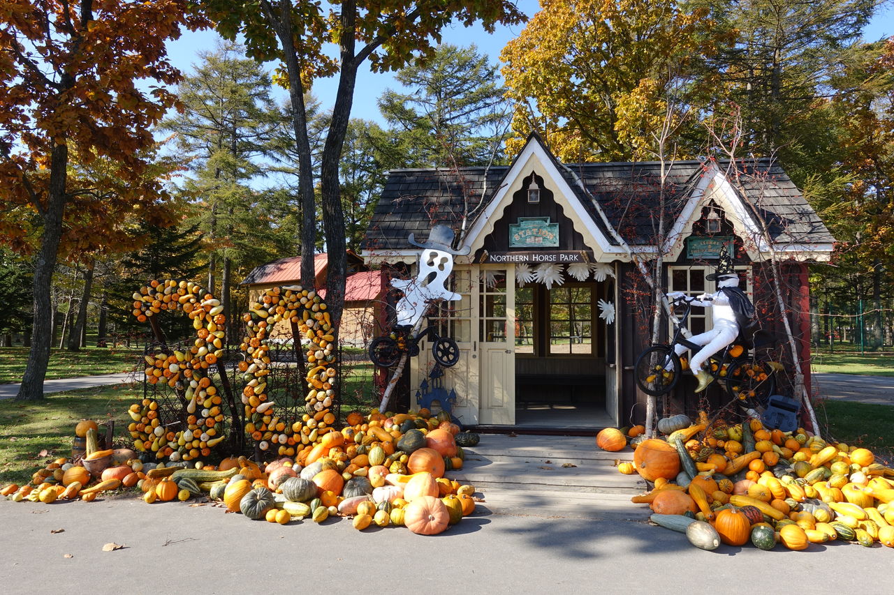 牧場見学19 ノーザンホースパーク 遠くまで