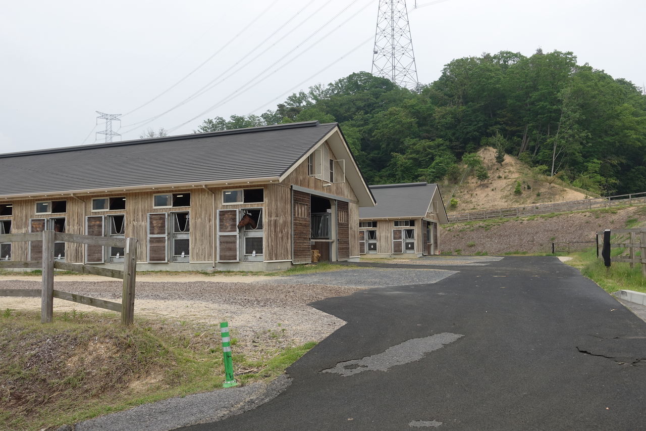 18年5月ノーザンファームしがらき見学 遠くまで 18年5月ノーザンファームしがらき見学 遠くまで