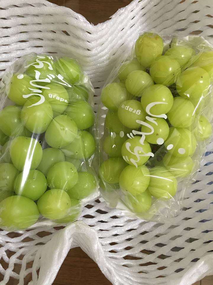 ふるさと納税特産品 長野県高井郡小布施町 15年 遠くまで ふるさと納税特産品 長野県高井郡小布施町 15年 遠くまで