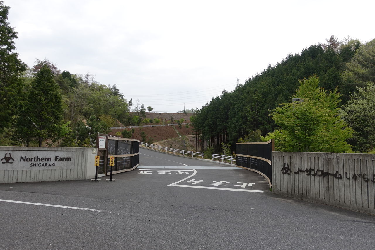 ノーザンファームしがらきに見学に行ってきました 遠くまで