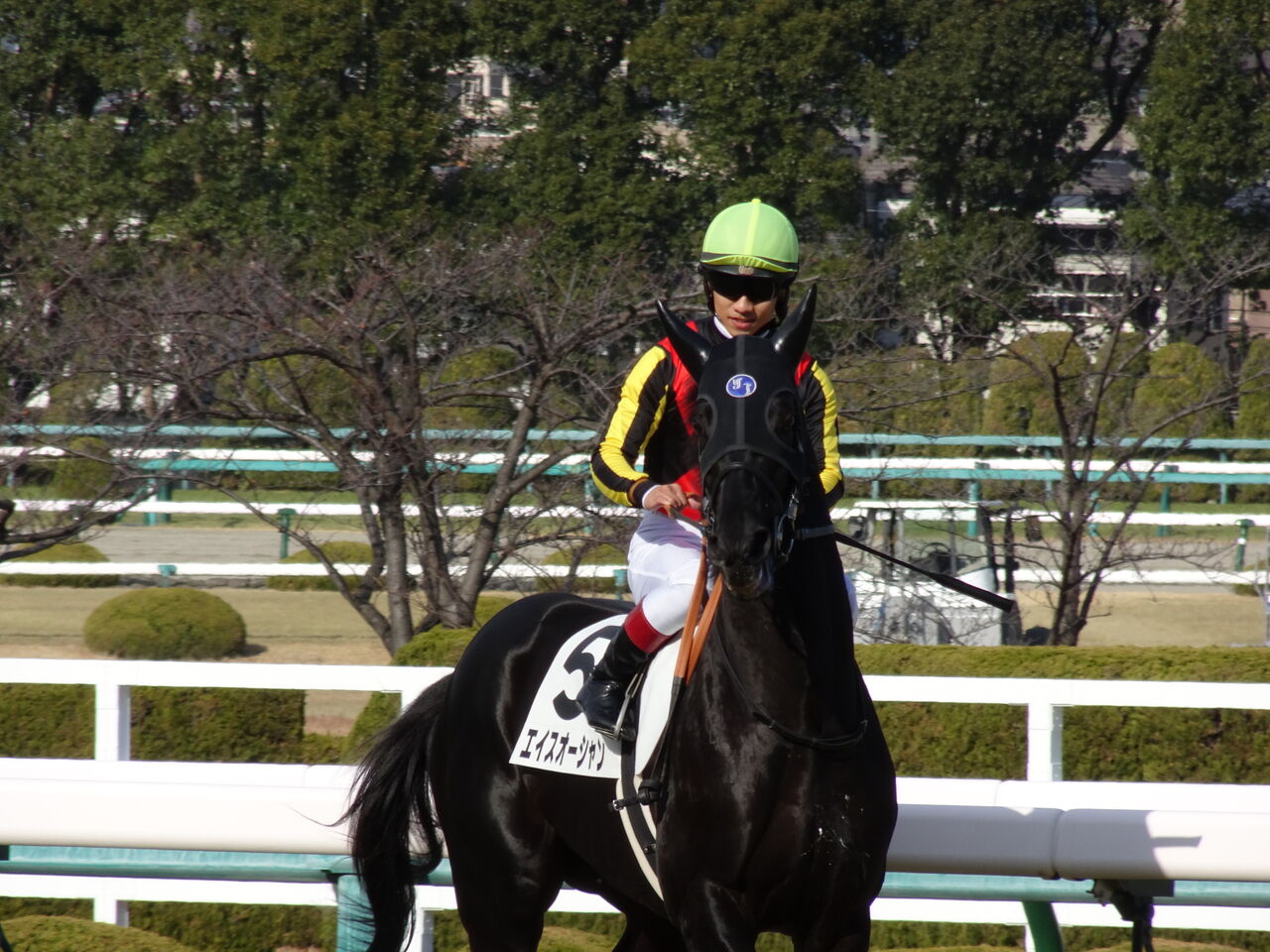 他のサンデー2歳馬のローテーション 遠くまで