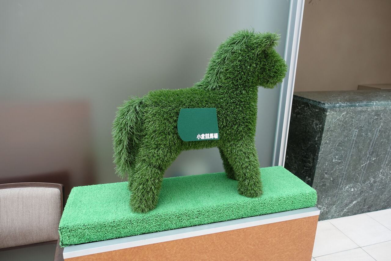 エイスオーシャンの応援に小倉競馬場に行ってきました 遠くまで