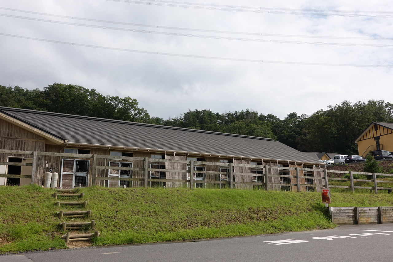 19年9月ノーザンファームしがらき見学 遠くまで