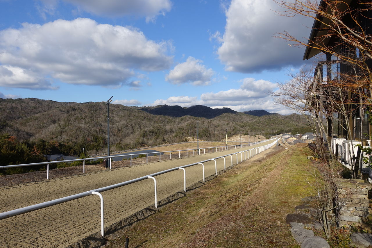 19年1月 ノーザンファームしがらき見学 遠くまで 19年1月 ノーザンファームしがらき見学 遠くまで