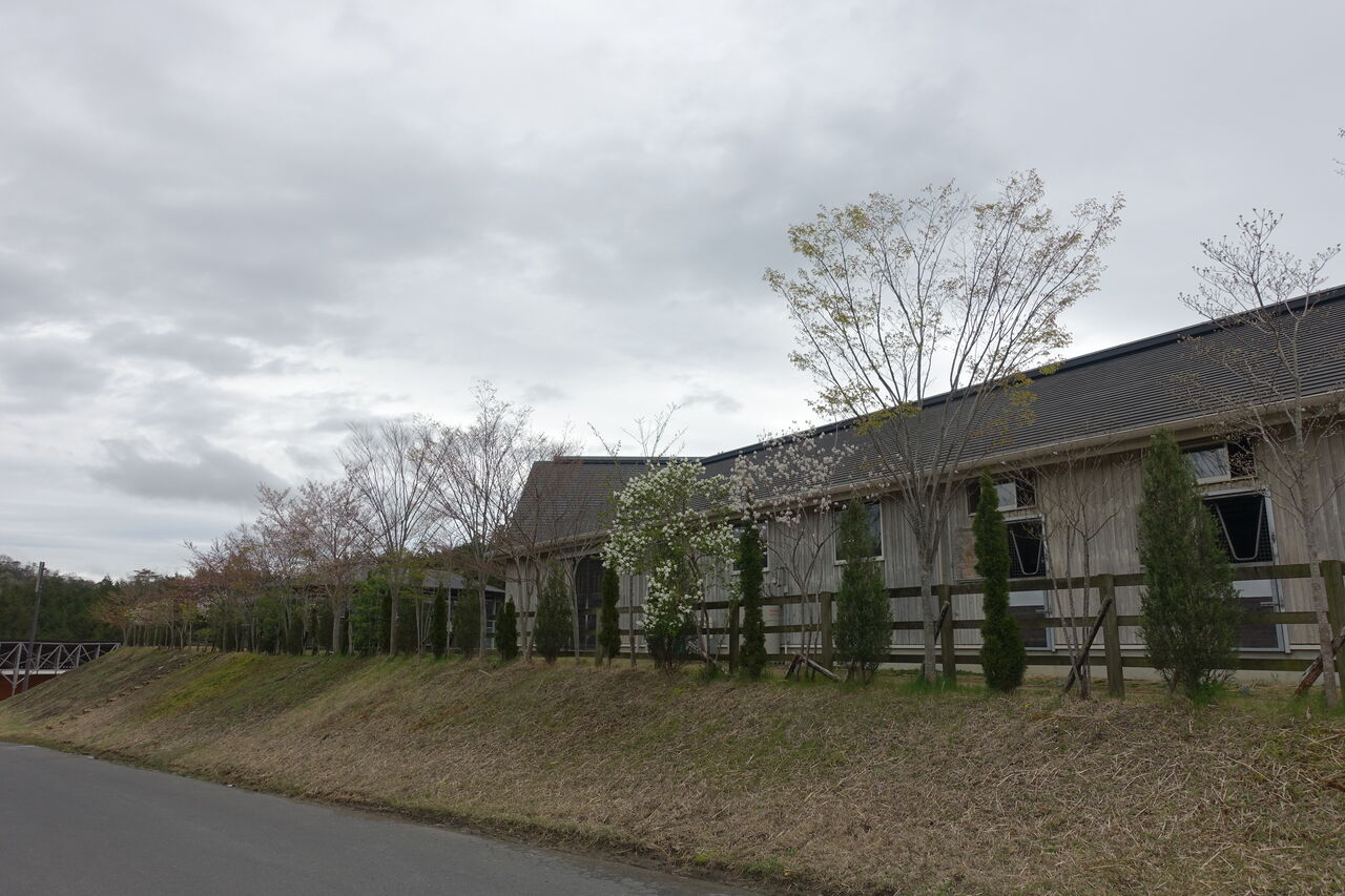 21年4月ノーザンファームしがらき見学 グーデンドラーク 遠くまで 21年4月ノーザンファームしがらき見学 グーデンドラーク 遠くまで