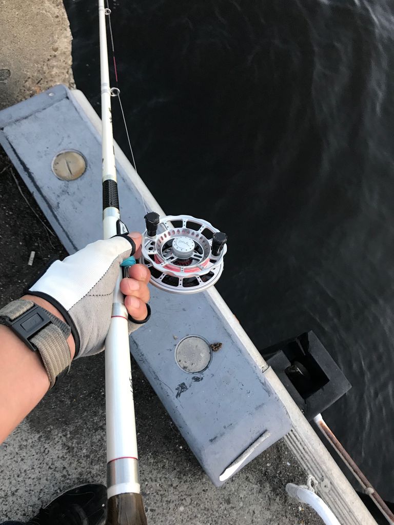 新春初釣り は 46 5センチの黒鯛から 今年も良い年になりそうです じょんていらーの釣日記 Vol 184 神奈川某所b地点18年1月2日 じょんていらーの釣日記