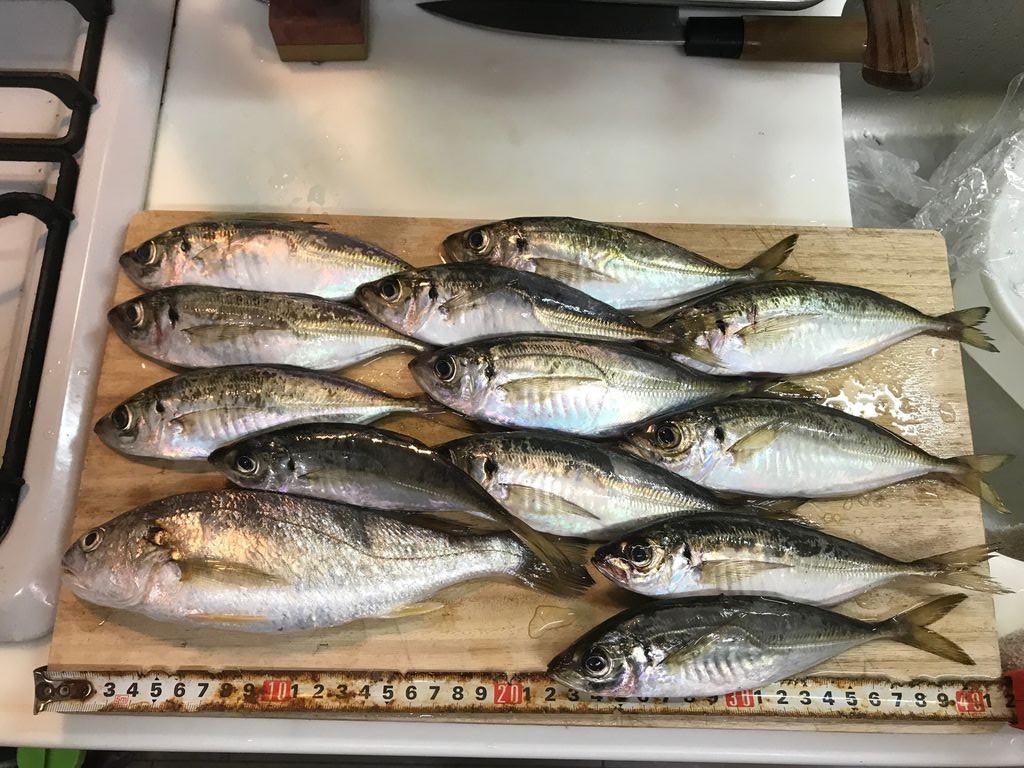 ヘチ釣りはダメでした と新しいタモ枠 じょんていらーの釣日記 Vol 4 神奈川県某所b地点18 06 02 じょんていらーの釣日記