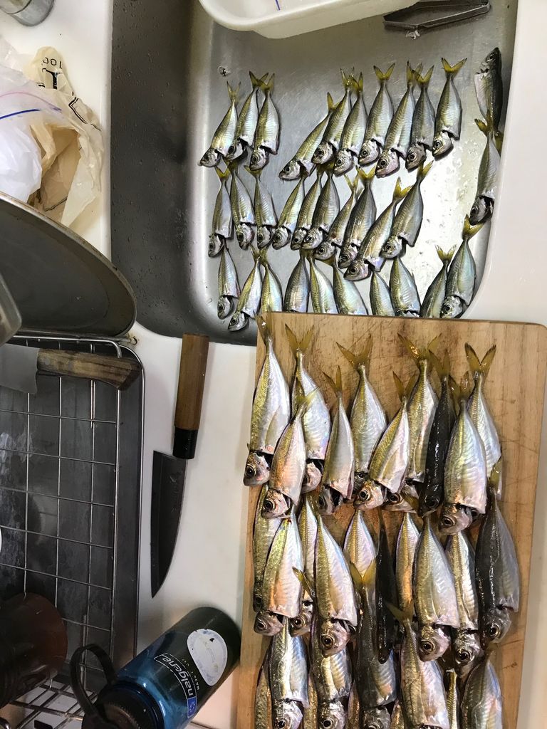 秋 まだまだ続く 太刀魚 アジ 良い季節です それと魚炙り器買いました じょんていらーの釣日記 Vol 296 神奈川県某所b地点19 11 02 じょんていらーの釣日記 秋 まだまだ続く 太刀魚 アジ 良い季節です それと魚炙り器買いました じょんていらーの釣日記 Vol 296 神奈川県某所b地点19 11 02 じょんていらーの釣日記