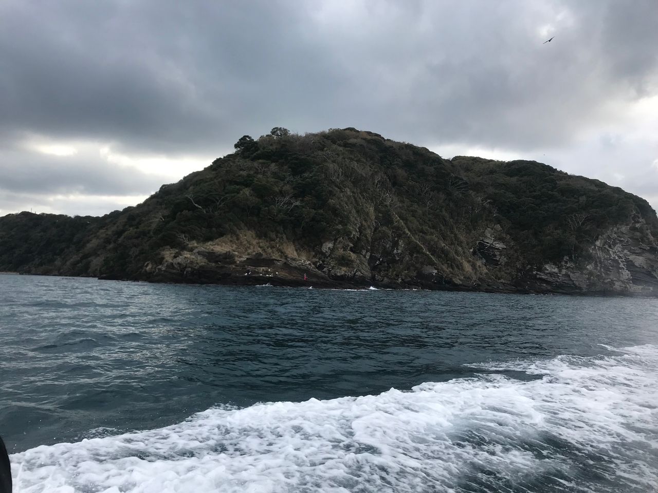 遠征 富浦の鳴釜渡船さんで サメ と言う磯に渡りました じょんていらーの釣日記 Vol 265 富浦大房岬サメ19 04 12 じょんていらーの釣日記 遠征 富浦の鳴釜渡船さんで サメ と言う磯に渡りました じょんていらーの釣日記 Vol 265 富浦大房岬サメ19 04 12 じょんていらーの釣日記