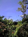 162c2b37.jpg