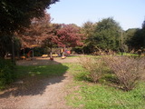 RIMG1445