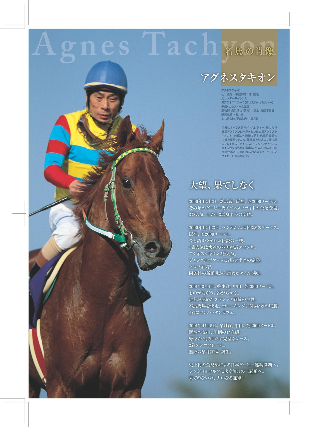 アグネスタキオン 現地馬券 弥生賞 皐月賞 レープロ付き 【公式