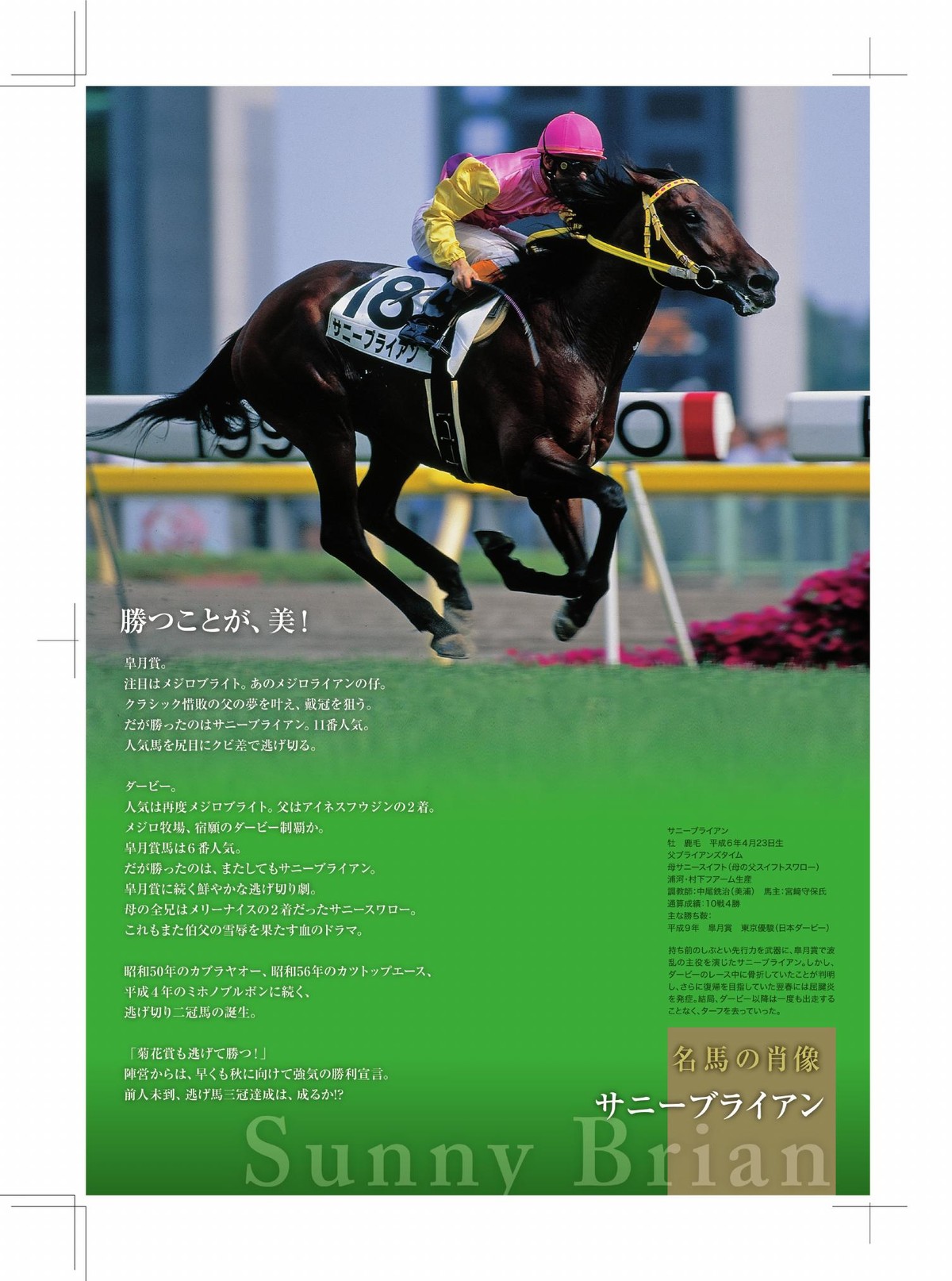 レープロ「名馬の肖像」──ダービー──サニーブライアン : 競馬抄録玉